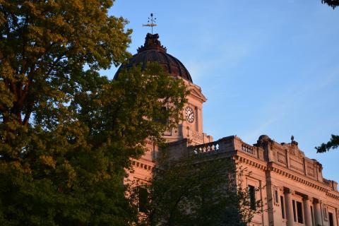 A photo of a courthouse partially obscured by a tree